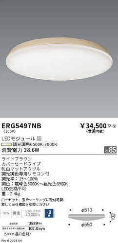 遠藤照明（ENDO）シーリングライト ERG5497NB