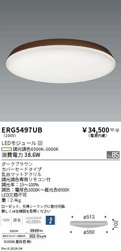 遠藤照明（ENDO）シーリングライト ERG5497UB