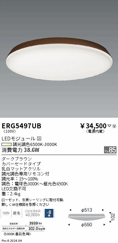 遠藤照明（ENDO）シーリングライト ERG5497UB