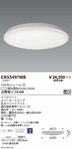 遠藤照明（ENDO）シーリングライト ERG5497WB