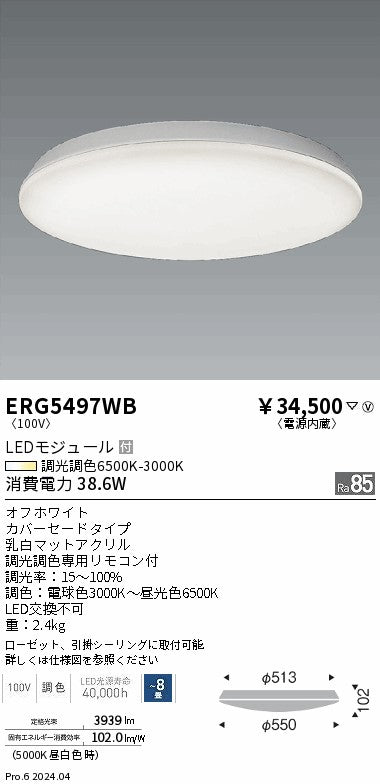 遠藤照明（ENDO）シーリングライト ERG5497WB