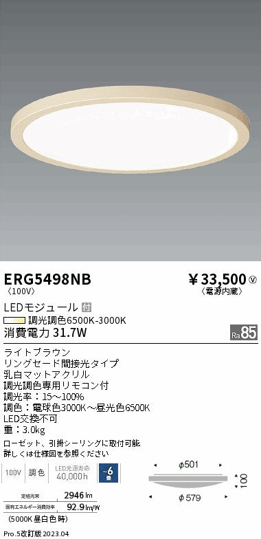 遠藤照明（ENDO）シーリングライト ERG5498NB