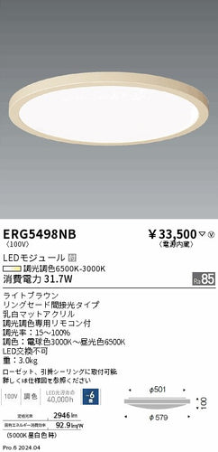 遠藤照明（ENDO）シーリングライト ERG5498NB