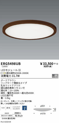 遠藤照明（ENDO）シーリングライト ERG5498UB