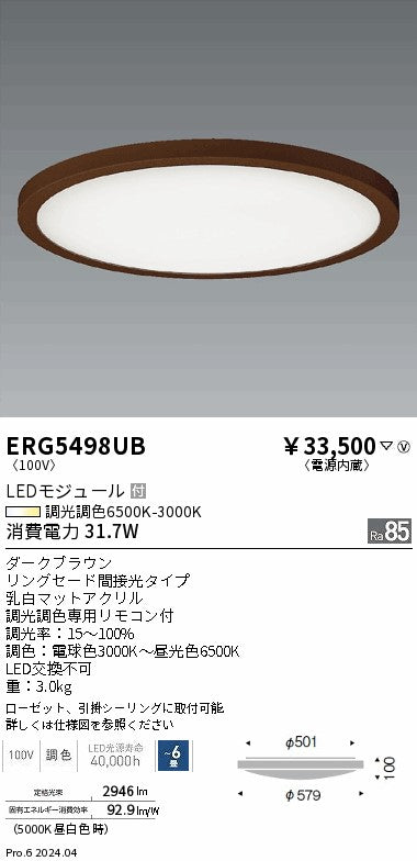 遠藤照明（ENDO）シーリングライト ERG5498UB
