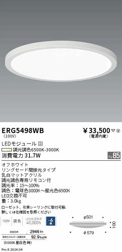 遠藤照明（ENDO）シーリングライト ERG5498WB