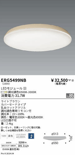 遠藤照明（ENDO）シーリングライト ERG5499NB