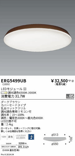 遠藤照明（ENDO）シーリングライト ERG5499UB