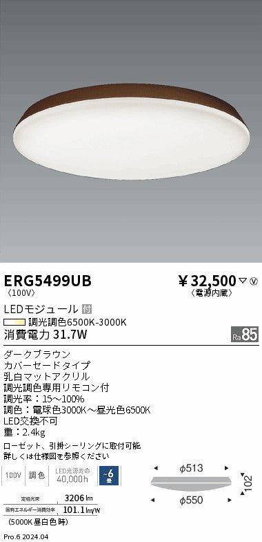 遠藤照明（ENDO）シーリングライト ERG5499UB