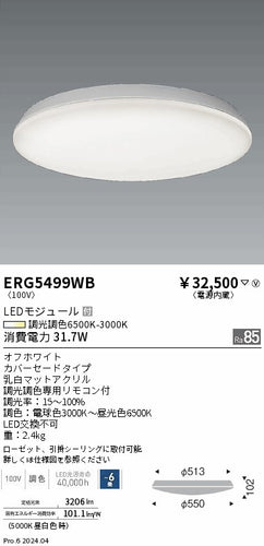 遠藤照明（ENDO）シーリングライト ERG5499WB