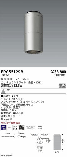 遠藤照明（ENDO）ポーチライト ERG5512SB