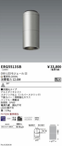 遠藤照明（ENDO）ポーチライト ERG5513SB