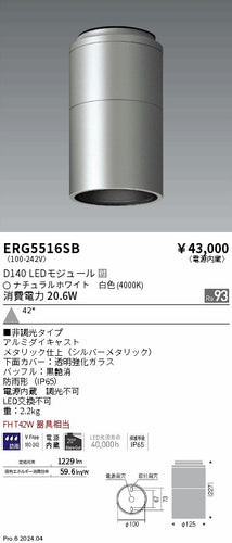 遠藤照明（ENDO）ポーチライト ERG5516SB