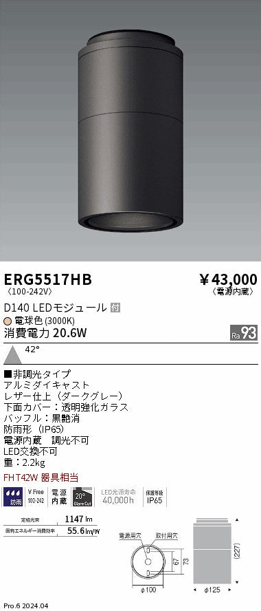 遠藤照明（ENDO）ポーチライト ERG5517HB