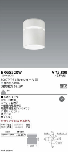遠藤照明（ENDO）シーリングライト ERG5520W