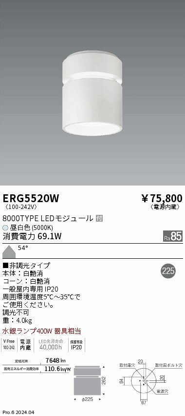 遠藤照明（ENDO）シーリングライト ERG5520W