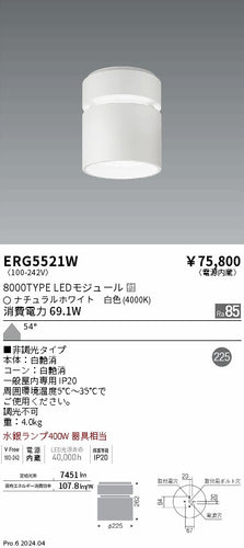 遠藤照明（ENDO）シーリングライト ERG5521W