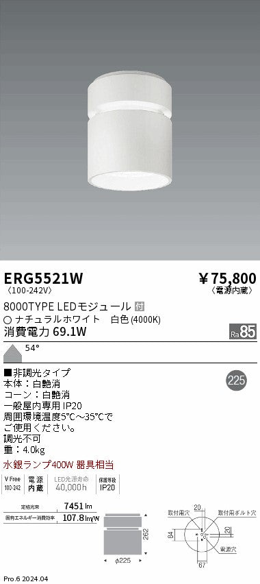 遠藤照明（ENDO）シーリングライト ERG5521W