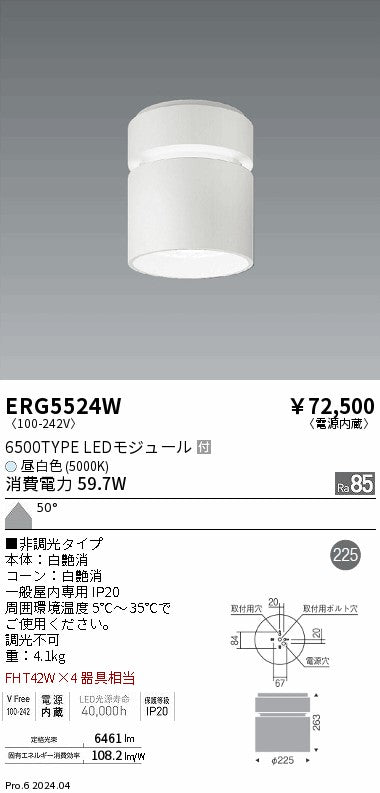 遠藤照明（ENDO）シーリングライト ERG5524W