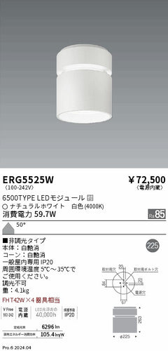 遠藤照明（ENDO）シーリングライト ERG5525W