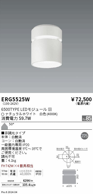遠藤照明（ENDO）シーリングライト ERG5525W