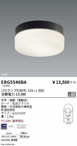 遠藤照明（ENDO）屋外灯 ERG5546BA