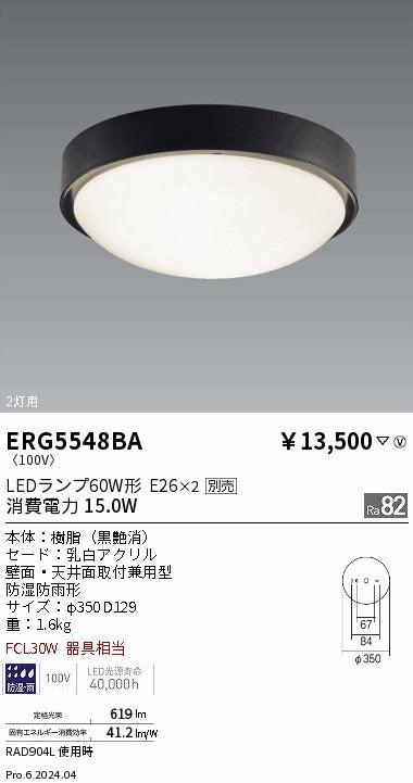 遠藤照明（ENDO）屋外灯 ERG5548BA