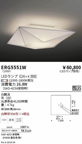 遠藤照明（ENDO）ペンダント ERG5551W