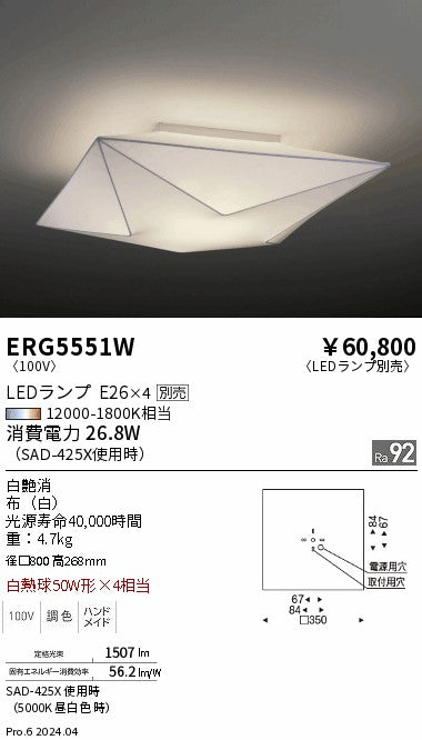 遠藤照明（ENDO）ペンダント ERG5551W