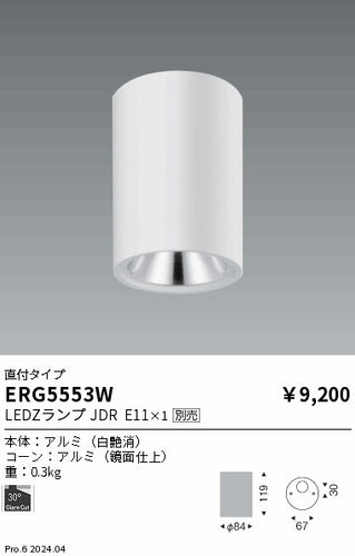 遠藤照明（ENDO）シーリングライト ERG5553W