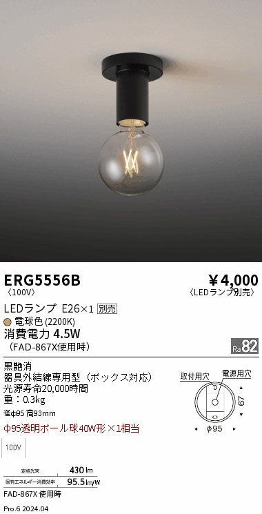 遠藤照明（ENDO）シーリングライト ERG5556B