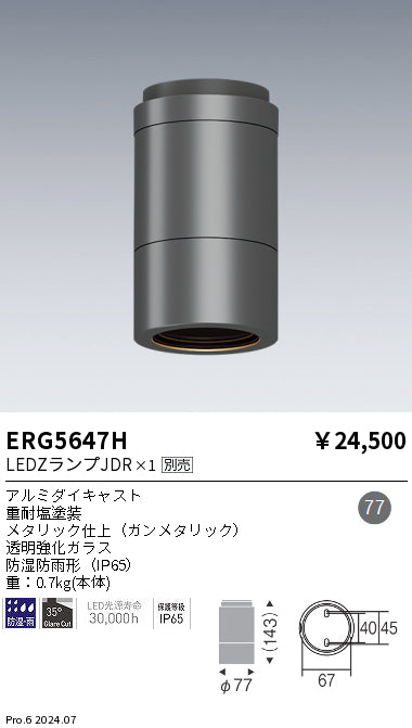 遠藤照明（ENDO）ポーチライト ERG5647H