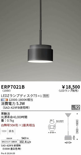 遠藤照明（ENDO）ペンダント ERP7021B