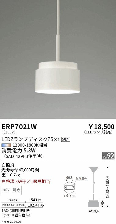 遠藤照明（ENDO）ペンダント ERP7021W