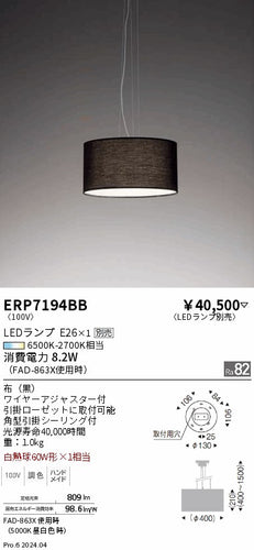 遠藤照明（ENDO）ペンダント ERP7194BB
