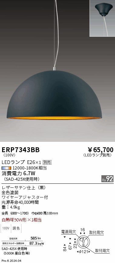 遠藤照明（ENDO）ペンダント ERP7343BB