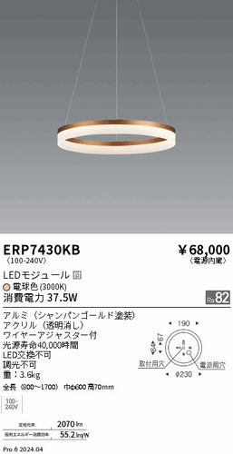 遠藤照明（ENDO）ペンダント ERP7430KB