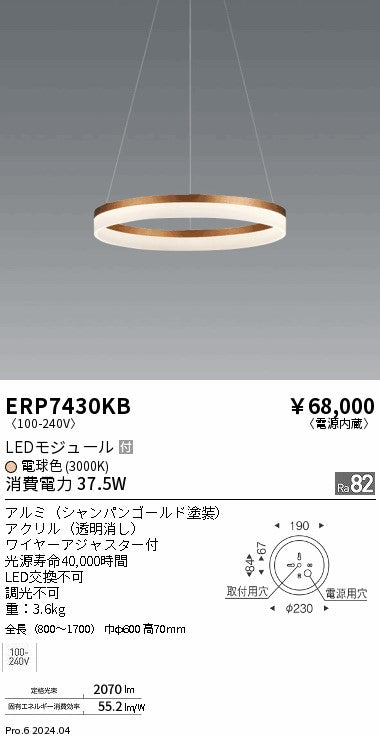 遠藤照明（ENDO）ペンダント ERP7430KB