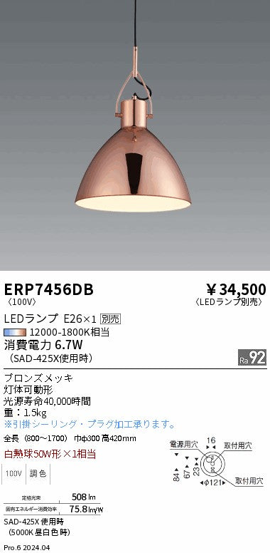 遠藤照明（ENDO）ペンダント ERP7456DB