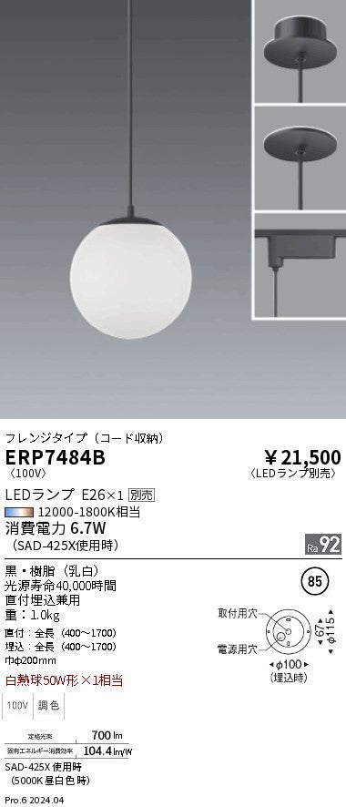 遠藤照明（ENDO）ペンダント ERP7484B