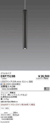 遠藤照明（ENDO）ペンダント ERP7519B