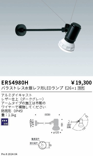 遠藤照明（ENDO）屋外灯 ERS4980H