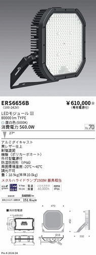 遠藤照明（ENDO）屋外灯 ERS6656B
