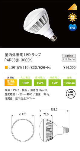 テスライティング（TES LIGHTING）ランプ類 LDR15W110830E26-Hs