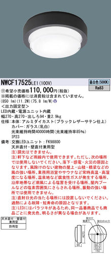 パナソニック（PANASONIC）ポーチライト NWCF17525LE1