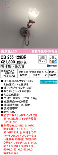オーデリック（ODELIC）ブラケット OB255129BR
