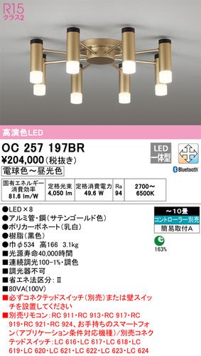 オーデリック（ODELIC）シャンデリア OC257197BR