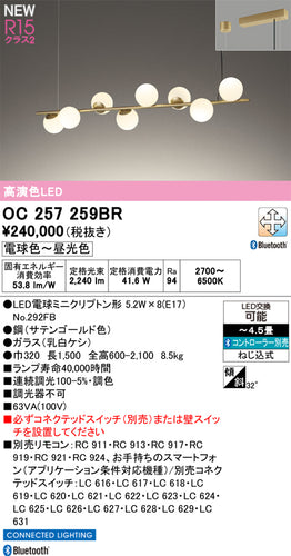 オーデリック（ODELIC）シャンデリア OC257259BR
