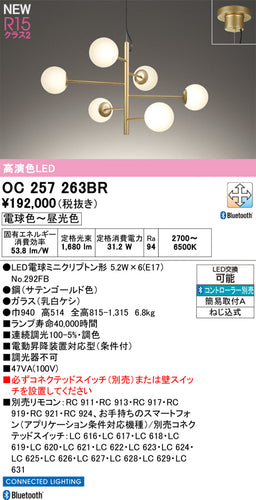 オーデリック（ODELIC）シャンデリア OC257263BR