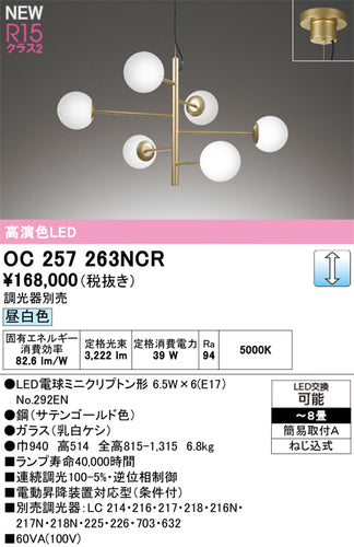 オーデリック（ODELIC）シャンデリア OC257263NCR